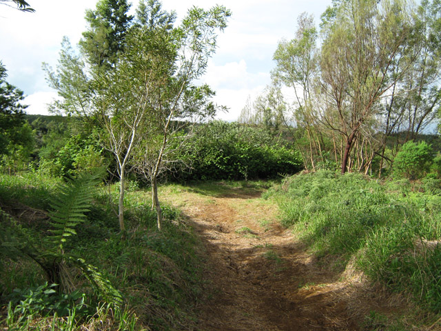 Une piste vers le Relais