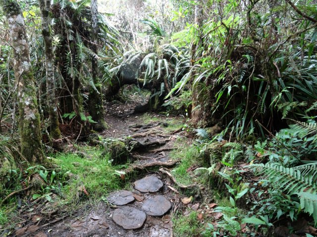Les passages boueux sont facilités par quelques travaux