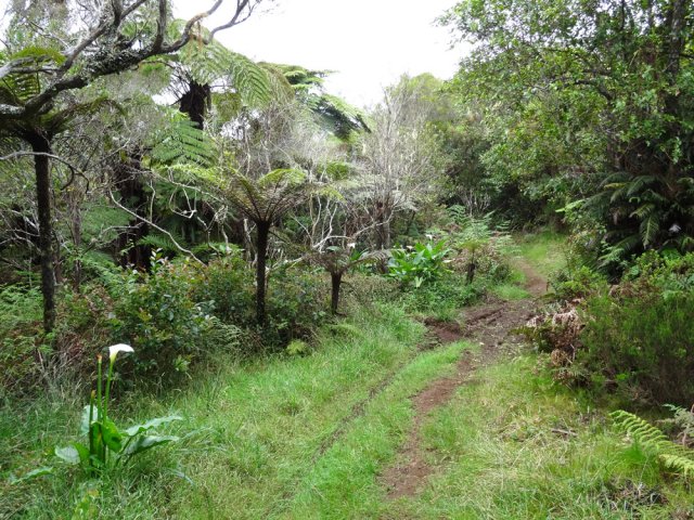 Plus bas, le sentier s'élargit à l'emplacement de l’ancienne piste