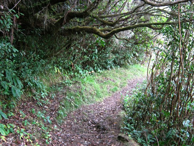 Une autre avant de rejoindre la route