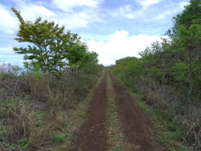 Exemple de pistes avant de passer sous la RN1