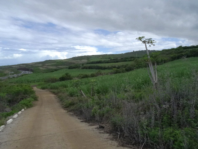 Fin de la route goudronnée. Il faut maintenant bifurquer à droite vers la Saline