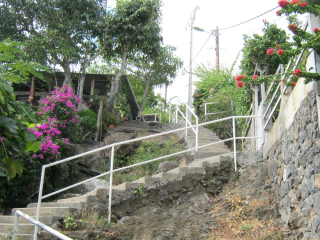 Remonter un peu "l'avenue principale" de Cayenne