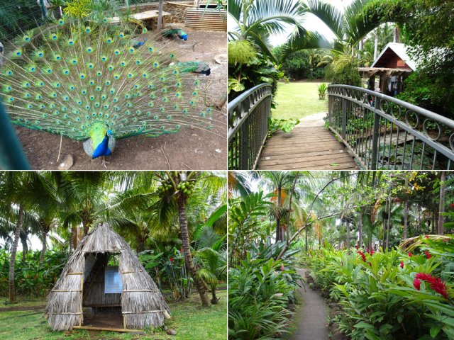 Prévoir près d'une heure pour cette agréable visite du domaine