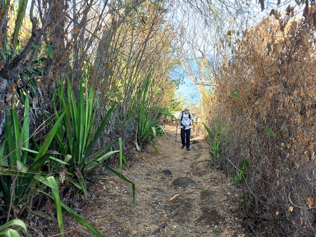Début de la longue ligne droite d'un sentier pentu pour éviter les lacets de la route