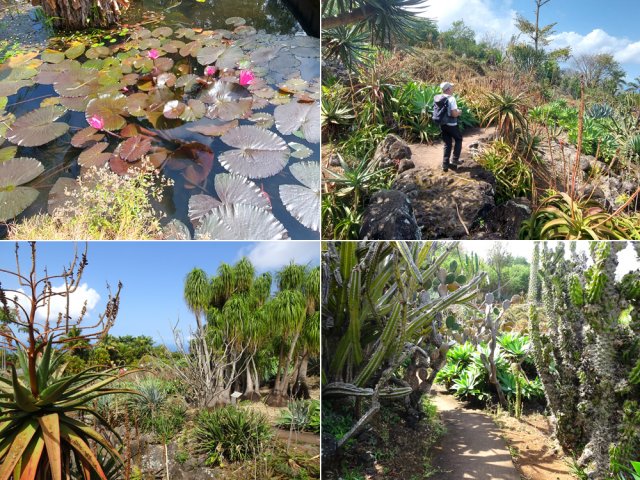 La visite permet de poursuivre en marchant à travers diverses plantes