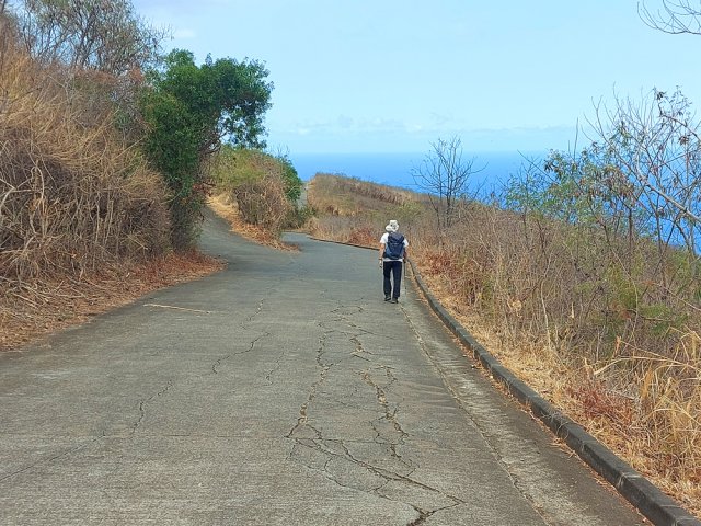 Les kékés ont depuis longtemps remplacé les champs