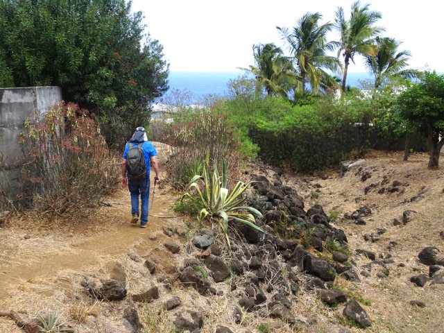 Plus bas, il passe en rive gauche de la ravine