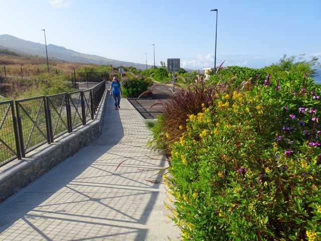 Le sentier devenu trop encombré s'évite par une belle allée paysagère