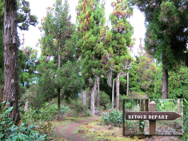 Pancarte originale dans la descente vers la scierie