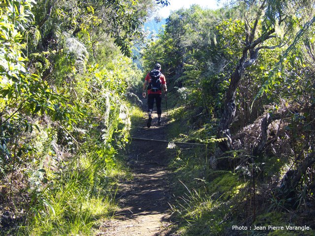 Sentier agréable pour une bonne partie de la montée