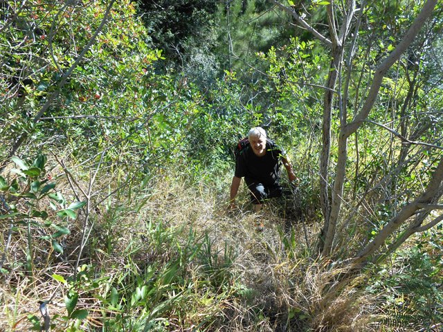 Les herbes peuvent cacher le terrain mais le sentier reste facile à deviner