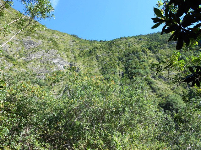 Une idée du rempart que les habitants de l'îlet voyaient chaque jour