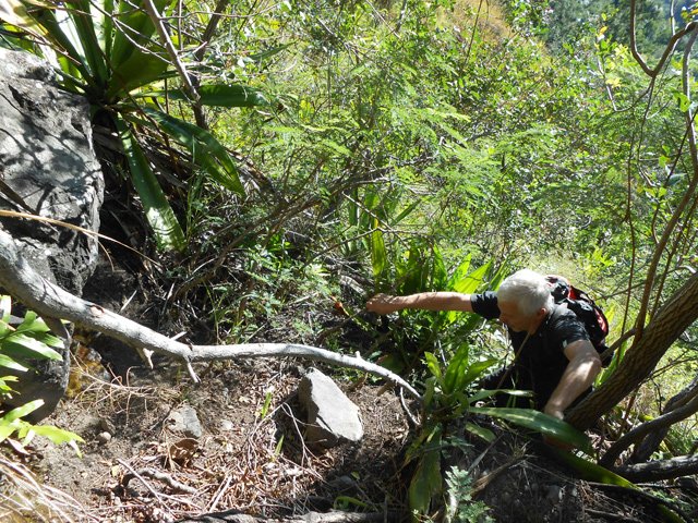 De bons coups de rein sont parfois nécessaires