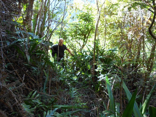 Il est même naturellement propre par endroit sans travaux