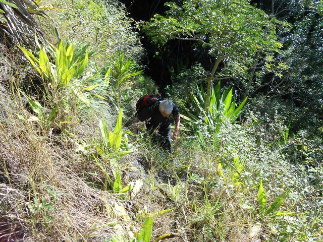 Il y a toujours quelques chose sur le sentier