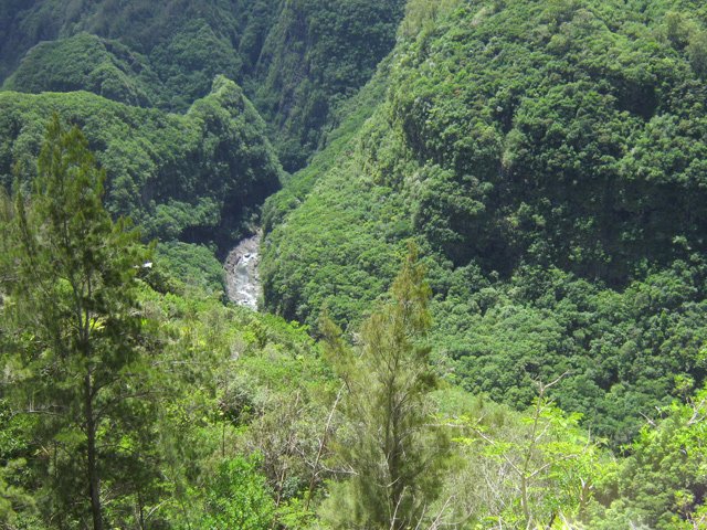 Le coude de la rivière à l'Îlet Palmiste