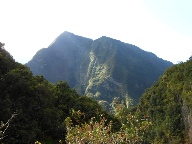 Une idée de la pente du Sentier Bayonne pour rejoindre le Dimitile