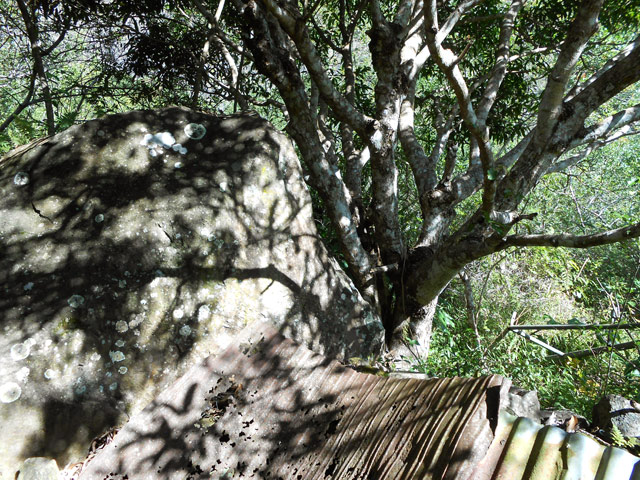 Enorme rocher, manguier et traces d'habitation