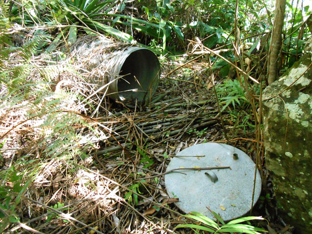 L'alambic en fer blanc est encore là mais aucun pied de géranium n'a résité à l'envahissement