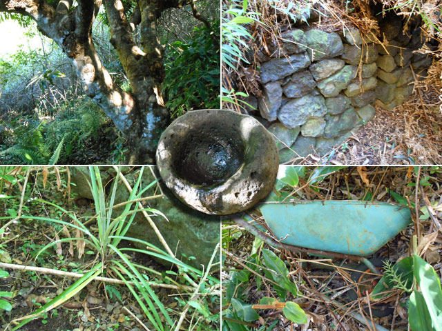 Premier manguier, murette, ananas, brouette et creuset