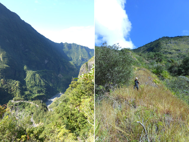 Descente dans l'herbe avec panoramas sur la vallée du Bras de Cilaos