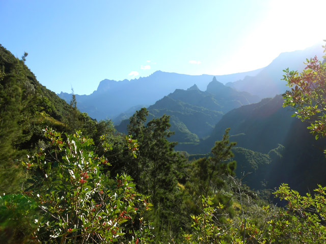 Les Pitons Fougères et Papangue ne masquent pas le Gros Morne à l'horizon