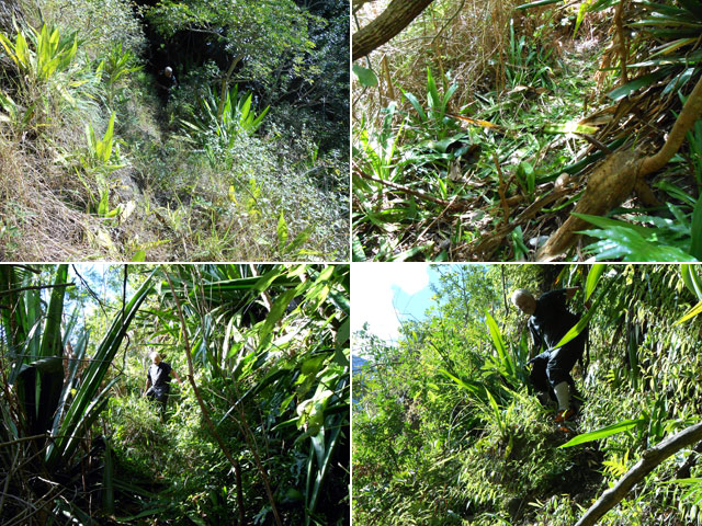 Le sentier est plus beau que les clichés semblent le montrer