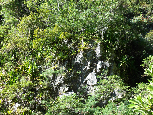 L'arrivée à la ravine et à la muraille infranchissable
