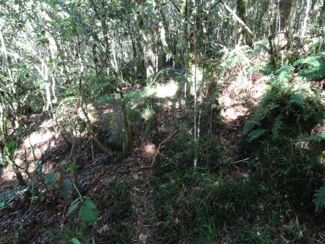 Le sentier n'est pas toujours facile à trouver