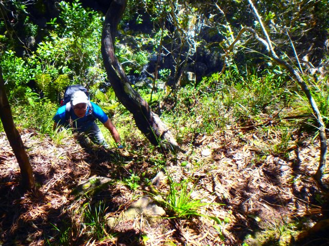 Fortes pentes par moment, surtout pour franchir les ravines encaissées