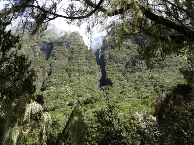 Point de vue sur le canyon du Bras Crochet