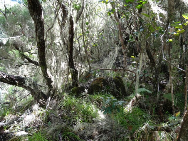 Le long du Bras Crochet, les branles se multiplient