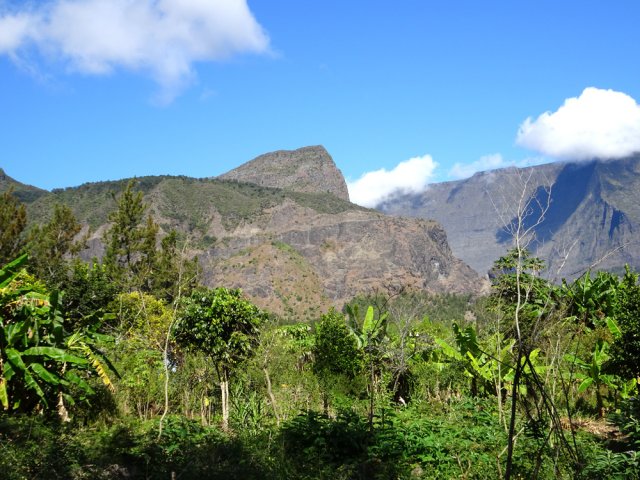 Les premiers petits champs et vergers de l'Îlet à Malheur les Hauts