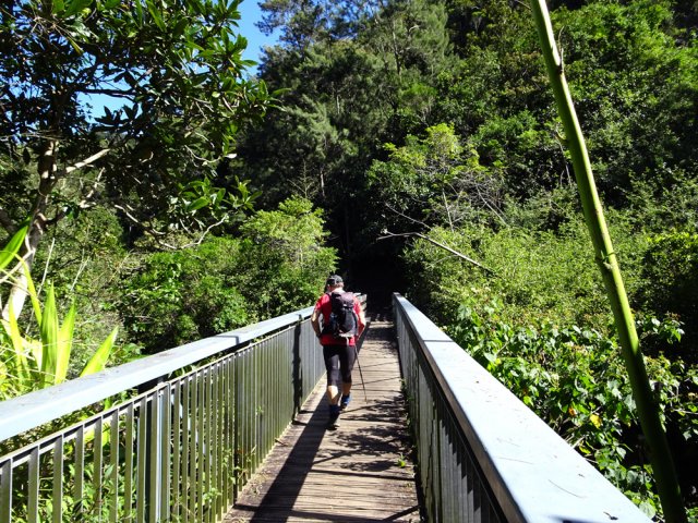 La passerelle qui domine le profond canyon du Bras Bémale