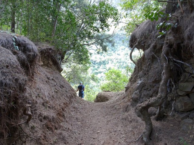 Arrivée à la tranchée du Petit Rein