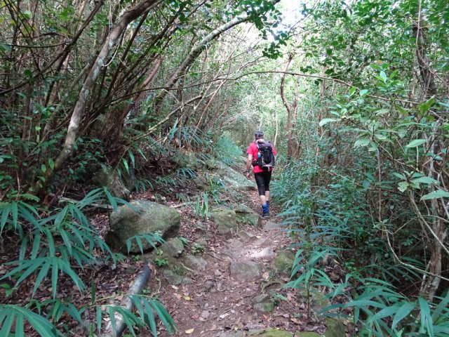 Le sentier devient plus technique après les corniches