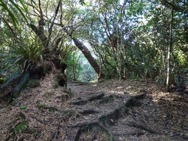 La traversée du Plateau de la Sale peut parfois être boueuse