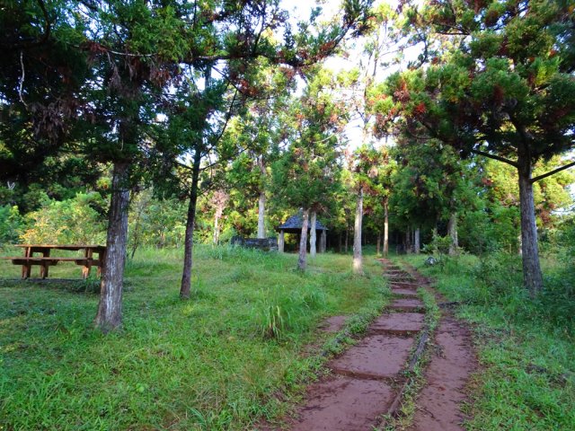 Traversée de l'aire de pique-nique en début de montée