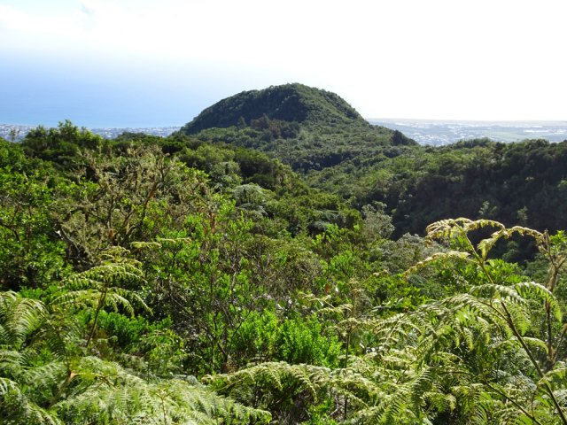 Quelques points de vue sur la côte et sur le Pic Adam
