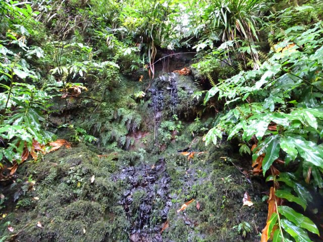 Petite source à deux pas du sentier