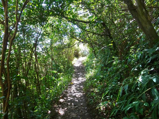 La fin de la descente ne présente plus de difficulté