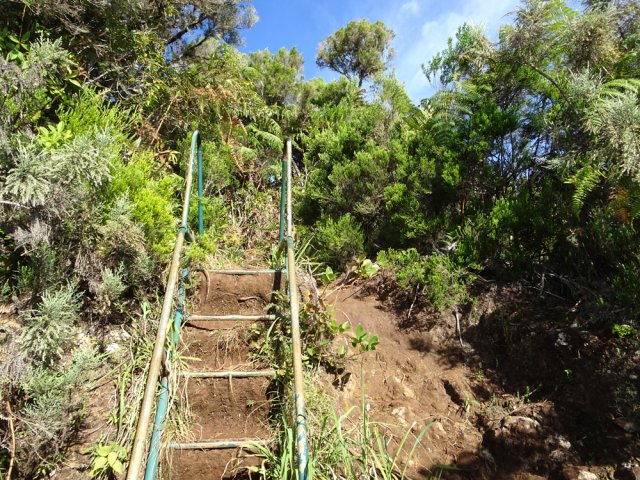 Les randonneurs préfèrent le sentier à l'échelle
