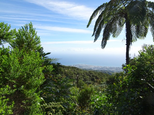 Nouvelle trouée pour des panoramas sur la côte