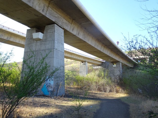 La piste file entre les piles des viaducs