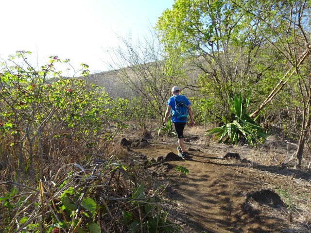 La marche est toujours aussi facile, sur la terre le plus souvent