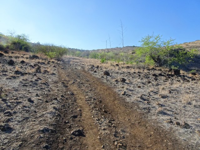 Véritable piste à l'approche de Plateau Caillou