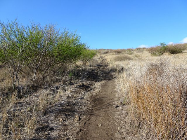 La pente n'est pas très forte jusqu'à l'héliport