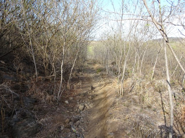 Après les ponts, le sentier est étroit mais facile à suivre