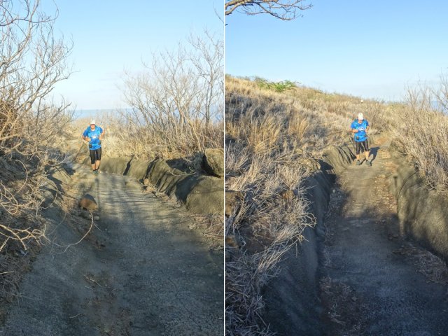 La ravine est un véritable GR bétonné et très peu envahi de plantes
